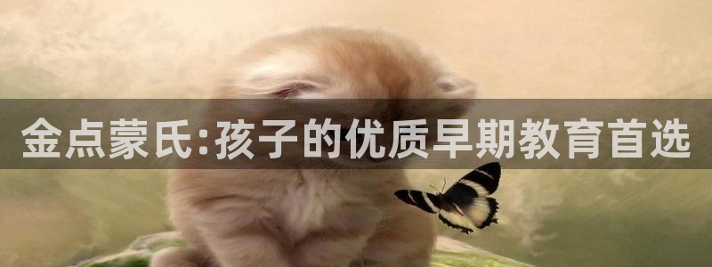 天顺娱乐负责人十岂pg29999:金点蒙氏:孩子的优质早期教育首选
