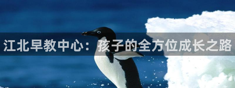 汝城天顺娱乐场所电话:江北早教中心:孩子的全方位成长之路