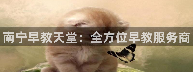 天顺娱乐vt金宀手宀指nj:南宁早教天堂:全方位早教服务商