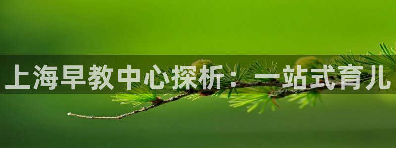 天顺娱乐会所电话：上海早教中心探析：一站式育儿