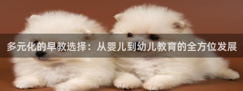天顺娱乐觅943994：多元化的早教选择：从婴儿到幼儿教育的全方位发展