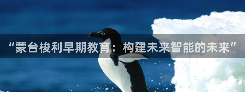 天顺娱乐官网:“蒙台梭利早期教育:构建未来智能的未来”