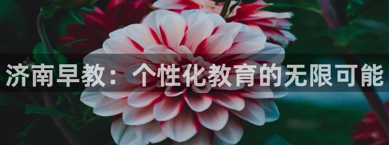 天顺娱乐负责人歹去pg29999：济南早教：个性化教育的无限可能