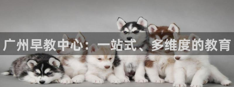 天顺娱乐 k户285580扣c：广州早教中心：一站式、多维度的教育