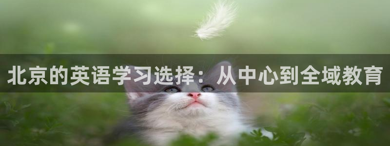 天顺娱乐675138k骄傲：北京的英语学习选择：从中心到全域教育