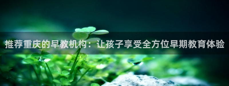 天顺娱乐脱943994：推荐重庆的早教机构：让孩子享受全方位早期教育体验
