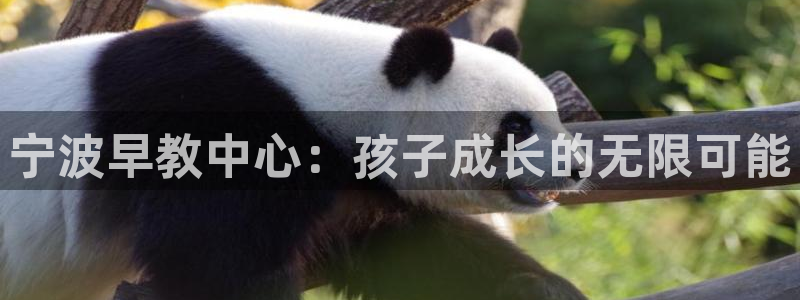 天顺娱乐主管下：宁波早教中心：孩子成长的无限可能