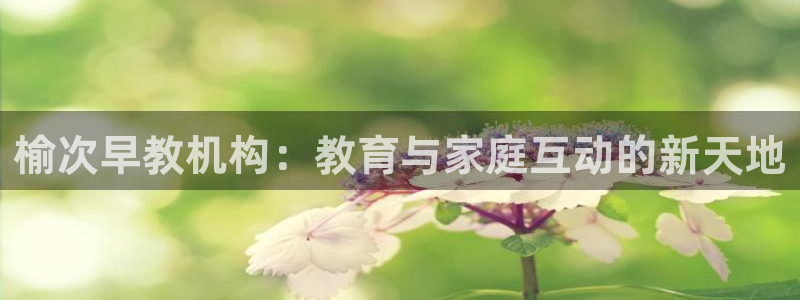 天顺娱乐主管看：榆次早教机构：教育与家庭互动的新天地