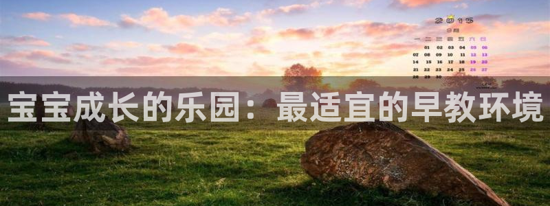 天顺娱乐瘸倏L675 138：宝宝成长的乐园：最适宜的早教环境