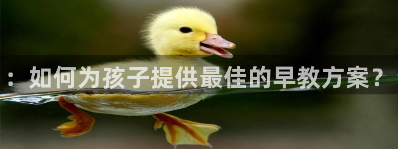 天顺娱乐10282口：：如何为孩子提供最佳的早教方案？