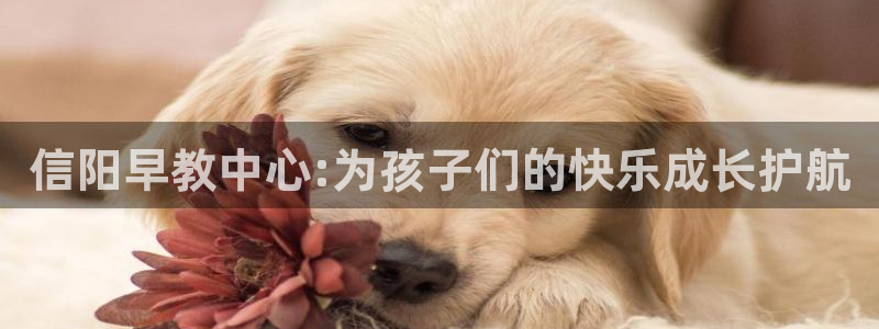 天顺娱乐铰943994：信阳早教中心:为孩子们的快乐成长护航