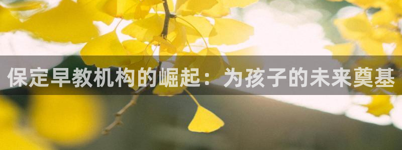 天顺娱乐肝943994：保定早教机构的崛起：为孩子的未来奠基