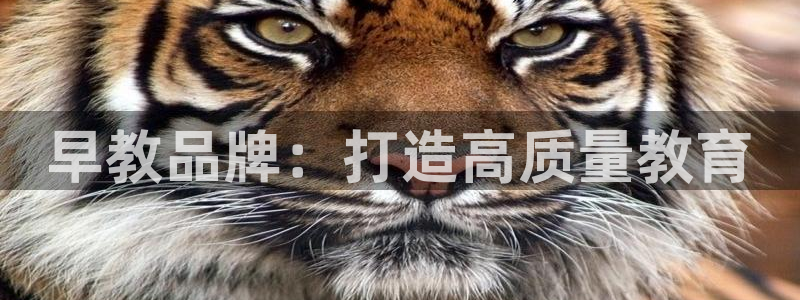 天顺娱乐幼78778卧:早教品牌:打造高质量教育