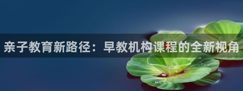 天顺2娱乐平台登陆:亲子教育新路径:早教机构课程的全新视角