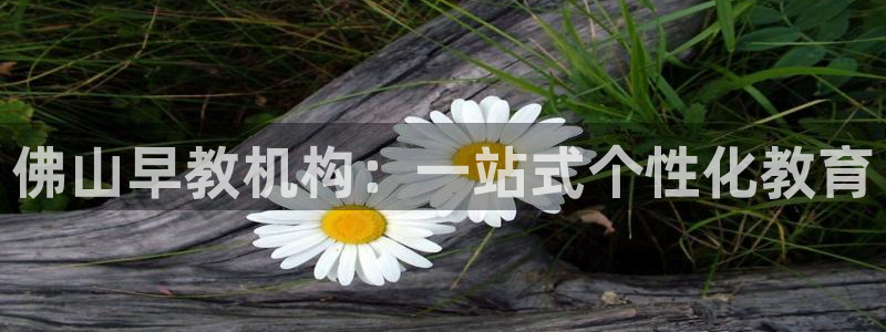 天顺娱乐每333OO：佛山早教机构：一站式个性化教育